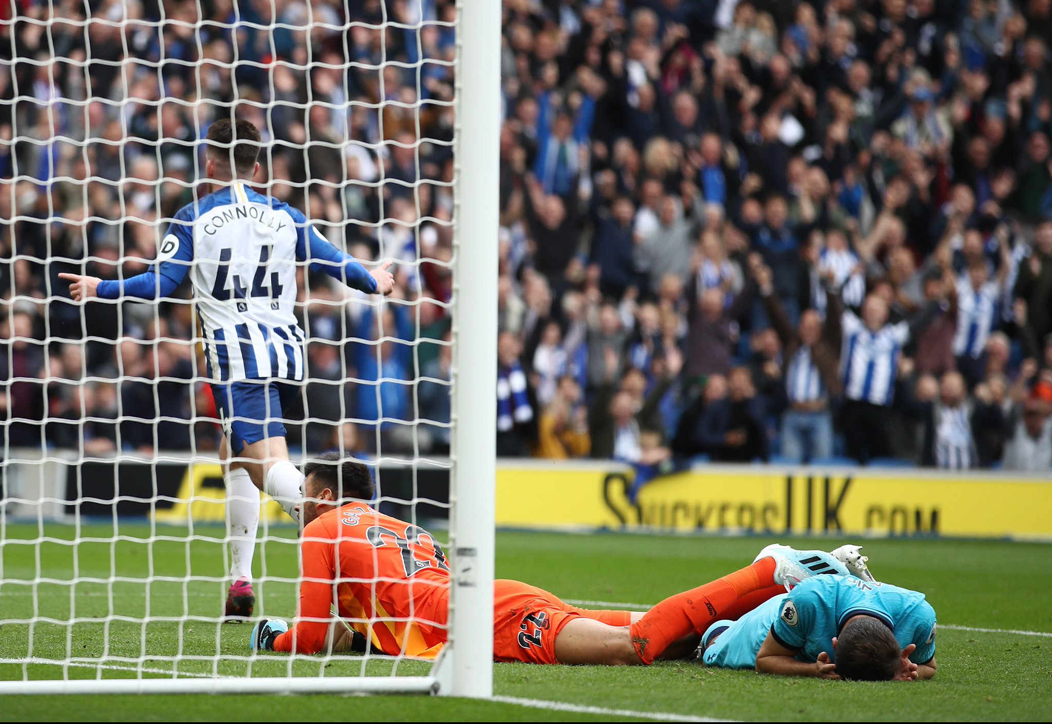 积极贡献 积极贡献