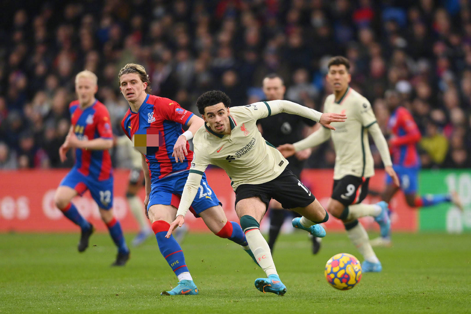 的重要抉择 的重要抉择