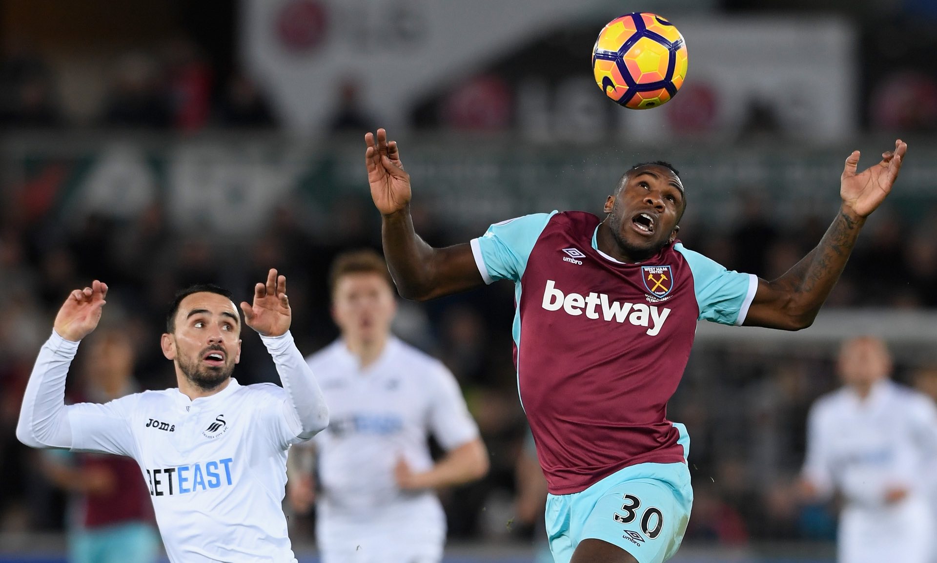 年轻人在绿 年轻人在绿